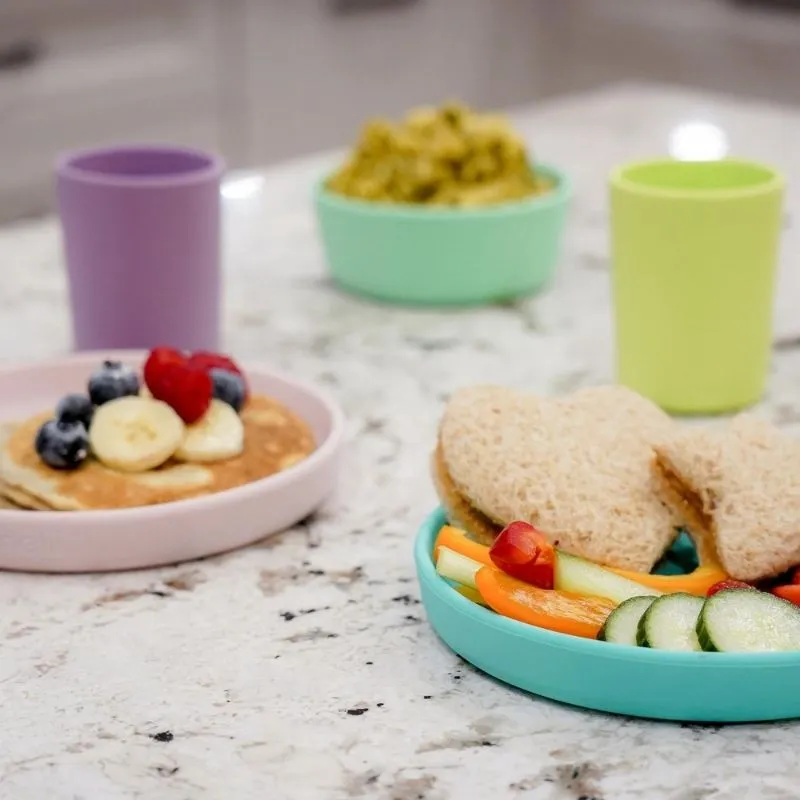 3 Piece Silicone Meal Set