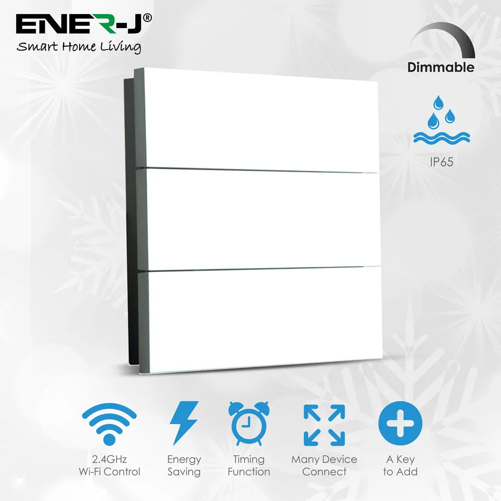 ENER-J 6 Gang Wireless Kinetic Switch, On/Off Wall Switch   6 Circuit RF WIFI Receiver Max Load 16Ax2   10Ax4, 6 Circuits