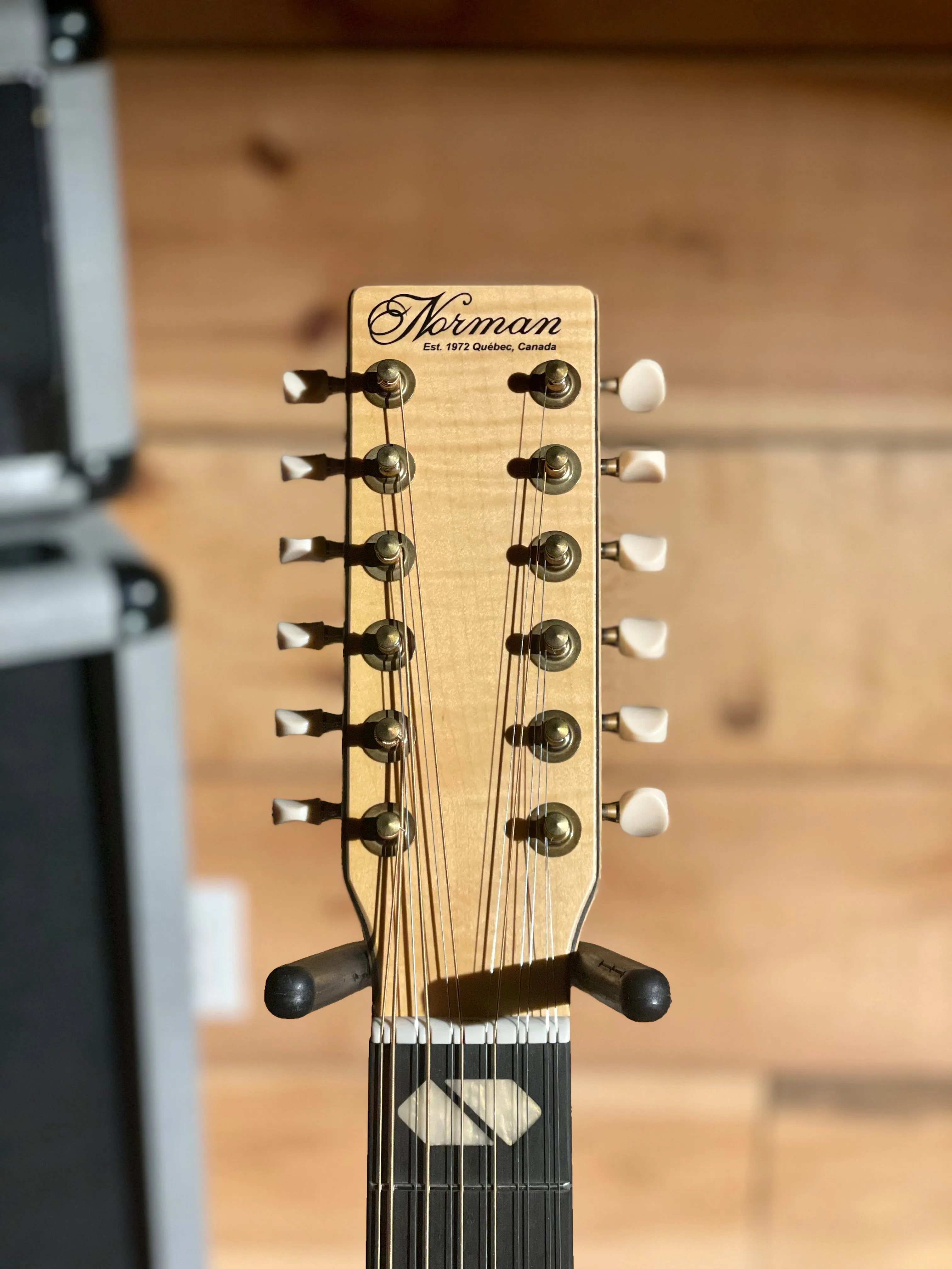 Norman B50 12, Natural SG, Element