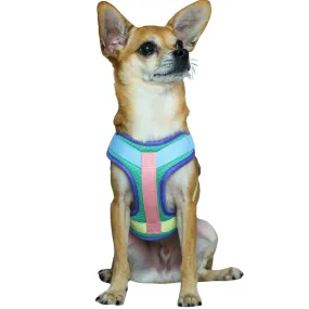 Vibrant Mesh Padded Ultra Cool Lightweight Dog Harness Vest