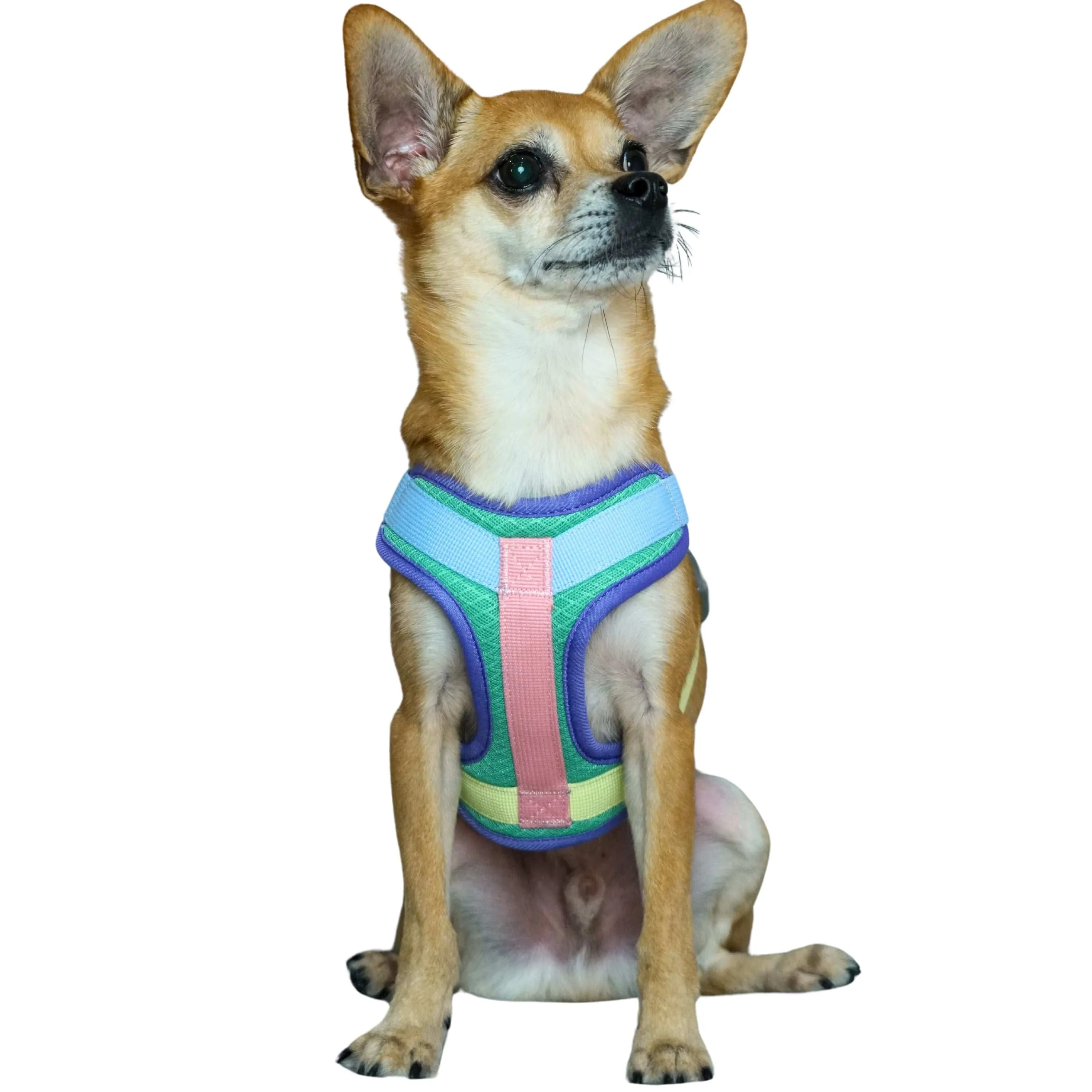 Vibrant Mesh Padded Ultra Cool Lightweight Dog Harness Vest