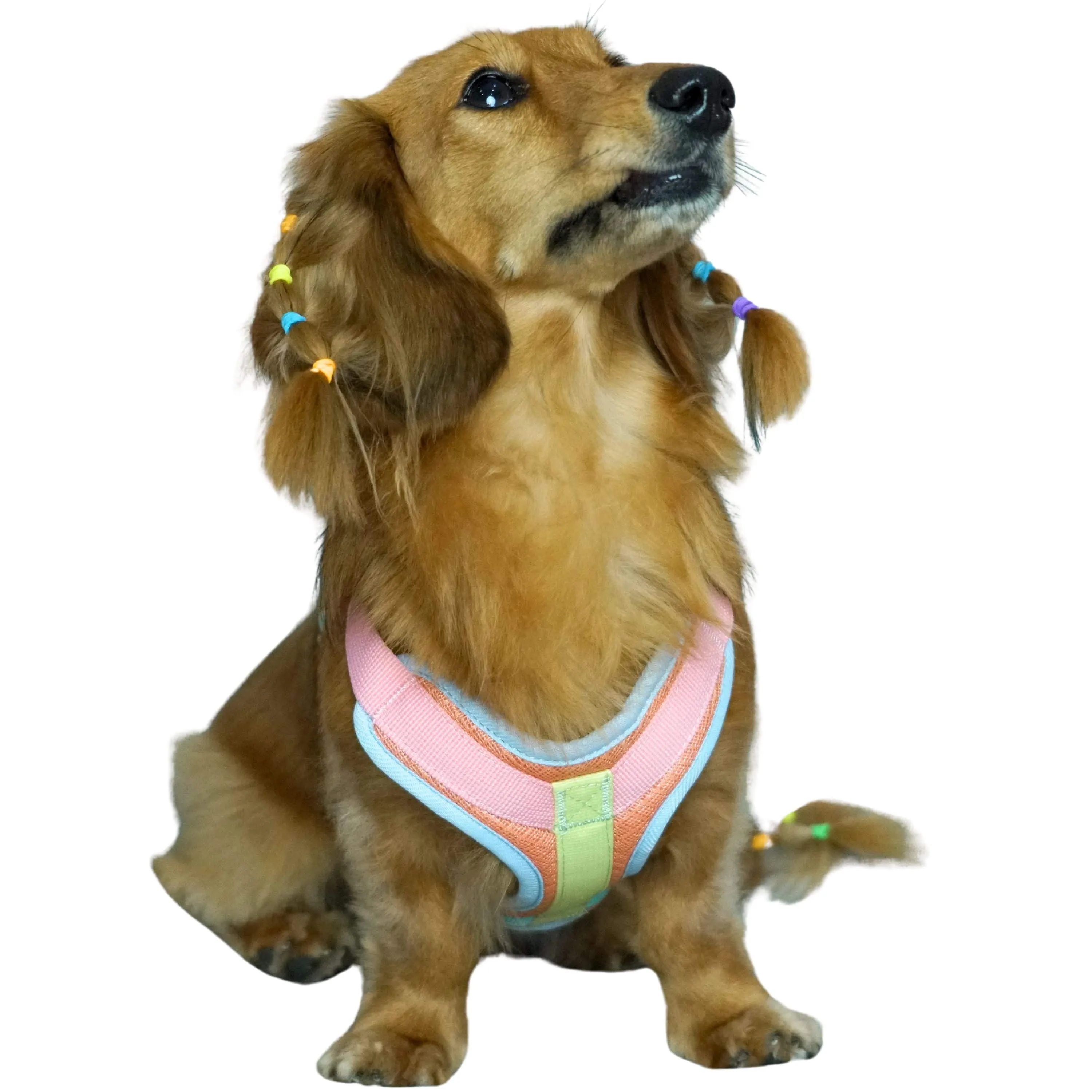 Vibrant Mesh Padded Ultra Cool Lightweight Dog Harness Vest